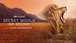 Secret World of Sound with David Attenborough   