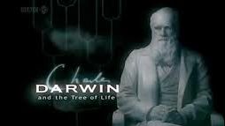 Charles Darwin and the Tree of Life