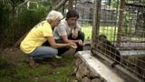 Animal Sanctuary/Snake Wrangler