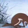 The Animals of Farthing Wood