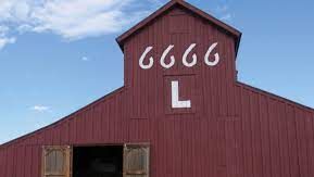 6666