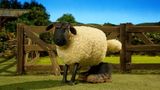 Sheep Farmer