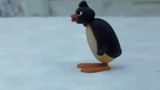 Pingu Builds An Igloo