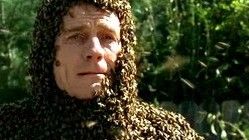 The Bots and the Bees