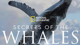 Secrets of the Whales