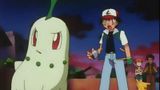 Chikorita's Big Upset