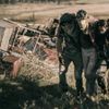 Z Nation
