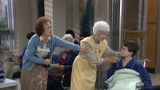 The Days and Nights of Sophia Petrillo