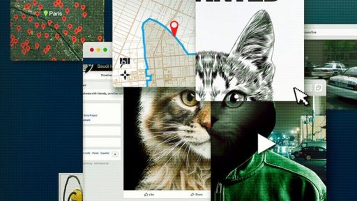 Don't F**k with Cats: Hunting an Internet Killer
