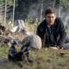 Supernatural