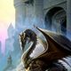 dragon504