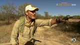 South Africa: Safari Survival