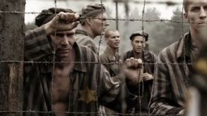 Why We Fight