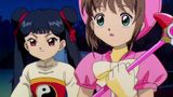Transfer Student Versus Sakura
